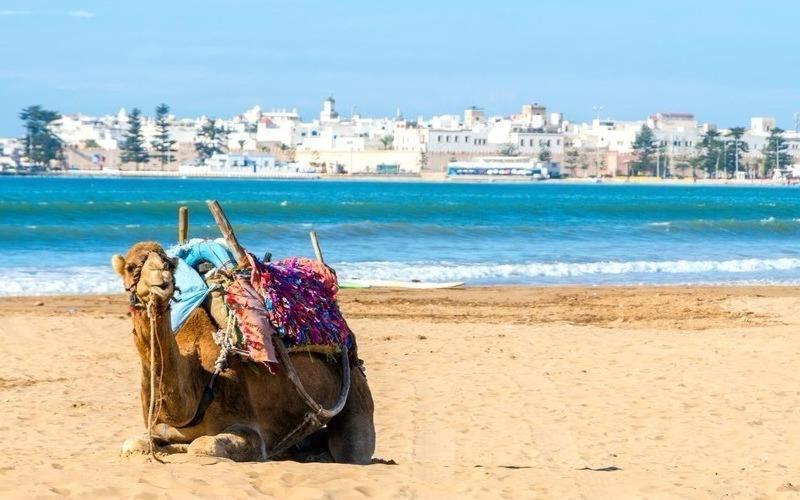 Appartement Essaouira Proche De La Mer Bagian luar foto