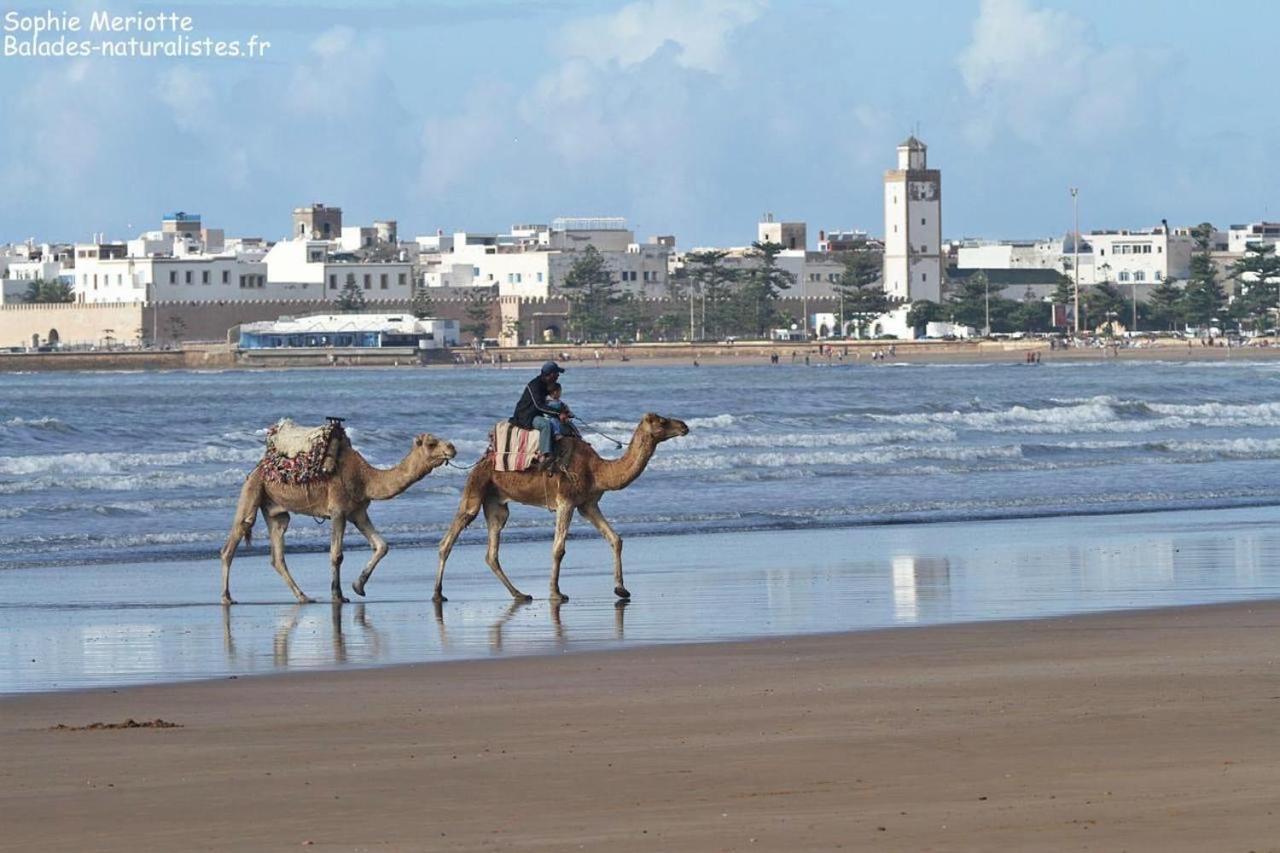 Appartement Essaouira Proche De La Mer Bagian luar foto